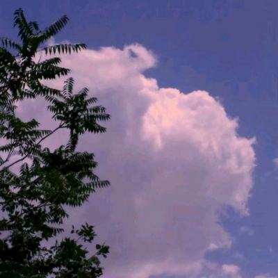 果盘超级精灵手表手游下载