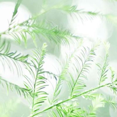 星球大战指挥官九游版下载
